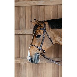 Dyon Braided Noseband Bridle With Removable Flash | D-Collection