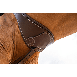 HFI Girth Anatomic Magnet