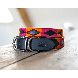 HFI Hondenhalsband Polo 