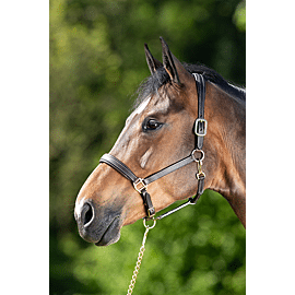 HFI Leder Halster Fijn