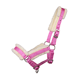 Qhp Head Collar Foal - With Fur