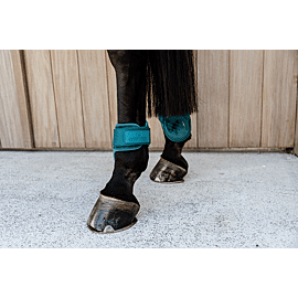 Kentucky Strijklappen - Young Horse - Velvet 