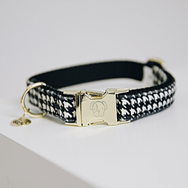 Kentucky Hondenhalsband | Pied-de-Poule