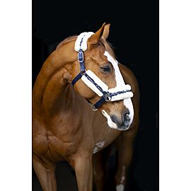 Lj Halster Nylon | Wol
