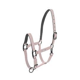 Lamicell Halfter Midnight 