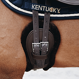 Kentucky Anatomische Singelcover | Kort | Wol 