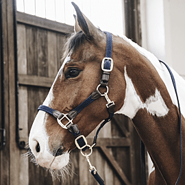 Kentucky Horse Lead | Plaited Nylon | 2M