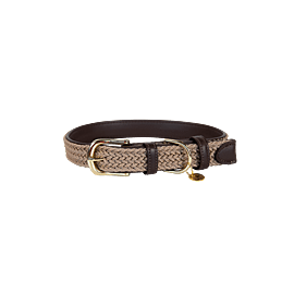 Kentucky Hondenhalsband | Gevlochten Nylon