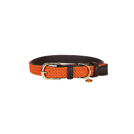 Kentucky Plaited Nylon | Dog Collar