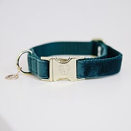 Kentucky Dog Collar | Velvet