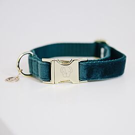 Kentucky Hondenhalsband | Velvet