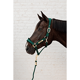 Kentucky Halster | Velvet