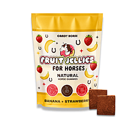 Candy Horse Horse Treats Jelly Horse