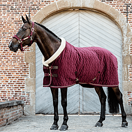 Kentucky Couverture De Présentation - Velvet - 160G