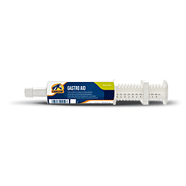 Cavalor Gastro Aid Paste