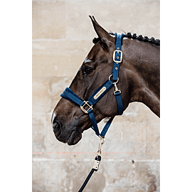 Kentucky Licol | Velvet
