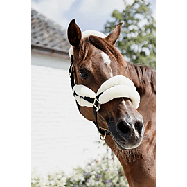 Kentucky Halster | Nylon + Wol Soft 