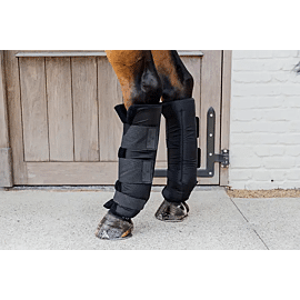 Kentucky Stalbeschermers Protect Classic | Rückseite