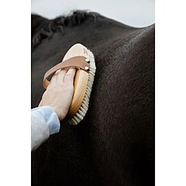Grooming Deluxe Overall Brush Body Soft Shine 
