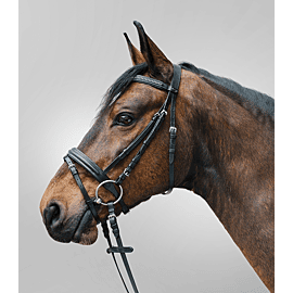 Waldhausen Trenshoofdstel Star Diamond