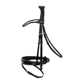 Passier Bridle Shadow 