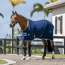 Amigo Zomer Staldeken