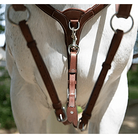 Antares Martingaalvork