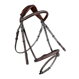 CWD Anatomic Bridle Fancy Stitching - Sport Color