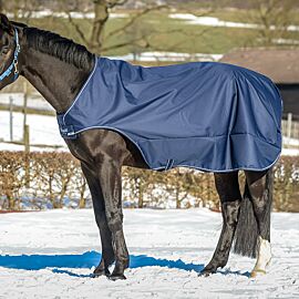 Bucas Walker Rug 