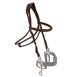 CWD Hackamore Bridle
