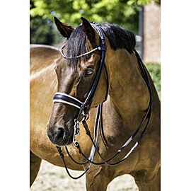 Finesse Double Bridle Dufour | Round Stitched | Silver Buckles
