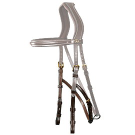 Dy'on Bakstuk Hackamore