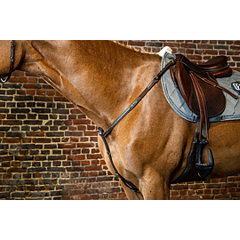 Dy'on Breastplate - D Collection