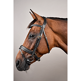 Dy'on Geflochtenes Zaumzeug | Kombiniertes Reithalfter und Kandare
