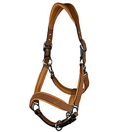 Dy'on Nubuck Head collar