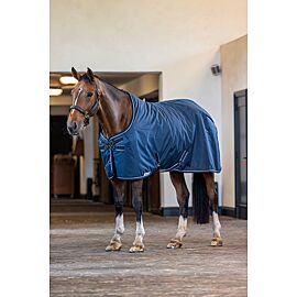 Dominick Tapis stable | 0G