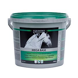 Equistro Mega Base Maintenance