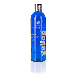 Carr & Day & Martin Colour Enhancing Shampoo