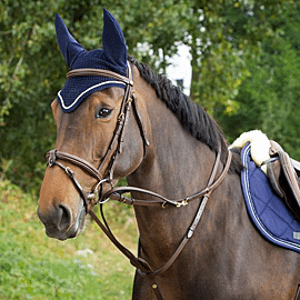 HFI Thiedeman Training Aid