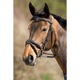 HFI Elegant Hoofdstel