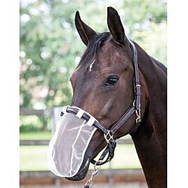 Harry's Horse neusnetje
