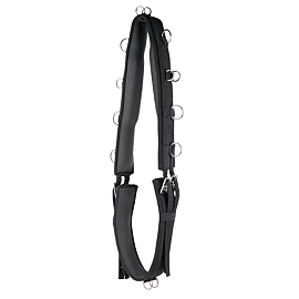 Harry's Horse Lunging Girth Luxe