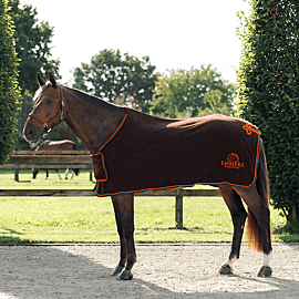 Emmers Sponsordeken - Fleece