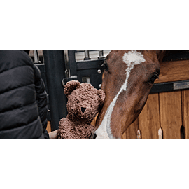 Kentucky Relax Horse Toy Bear