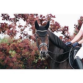 Kentucky Oornetje | Wellington | Sparkling 