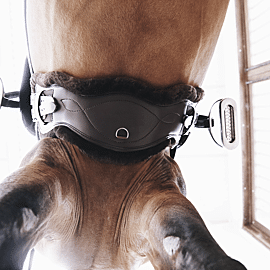 Kentucky Sangle | Anatomique | Mouton | Courte