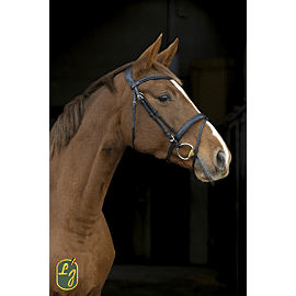 LJ Bridle Tress Combined Noseband