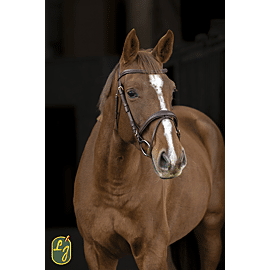 LJ Bridle Tress Combined Noseband