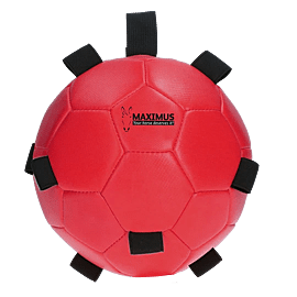 Maximus Fun Play Ball