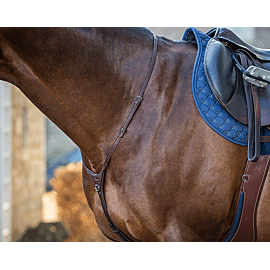 Dy'on Yoke - New English Collection